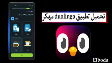 تحميل تطبيق دوولينجو duolingo مهكر 2025 بدون نت للاندرويد من ميديا فاير